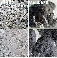 Мышьяк Карбовегетабилис основа